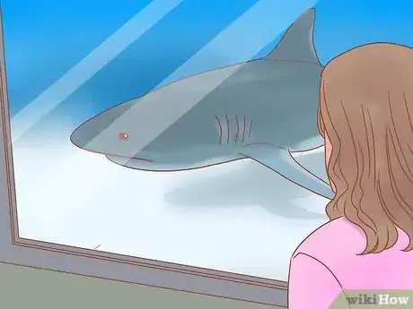 Image titled Spot a Tiger Shark Step 14