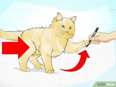 Image titled Clicker Train a Cat Step 16