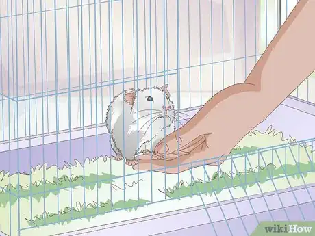 Image titled Get a Hamster to Sleep Step 11