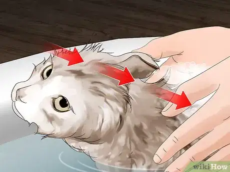 Image titled Get Rid of Fleas Step 2