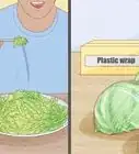 Plant Cabbage