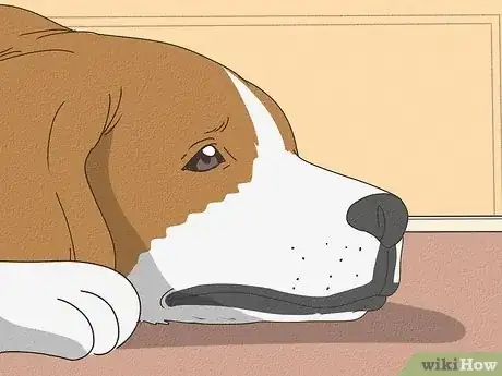 Image titled Why Do Dogs Sigh Step 2