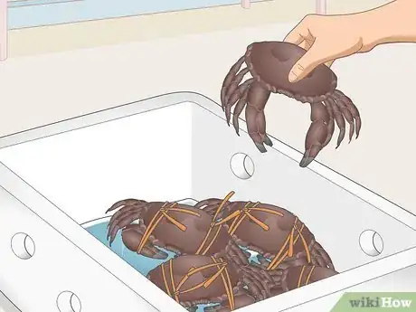 Image titled Transport Crabs Step 11