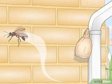 Image titled Get Rid of Mud Daubers Step 14