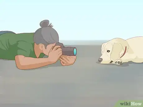 Image titled Take Great Photos of Your Dog Step 4