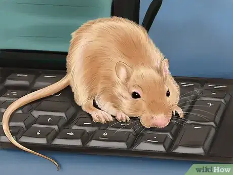 Image titled Make Your Gerbil Happy Step 11