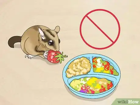 Image titled Feed a Sugar Glider Step 12