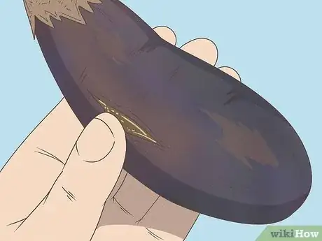 Image titled Tell if Eggplant Is Bad Step 3