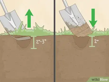 Image titled Level a Bumpy Lawn Step 12