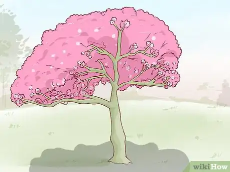 Image titled Identify Cherry Trees Step 9