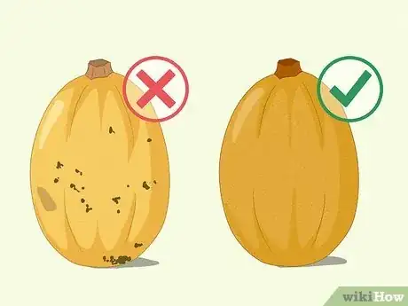 Image titled Store Spaghetti Squash Step 11