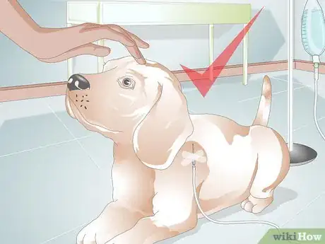 Image titled Administer Subcutaneous Fluids to a Dog Step 15