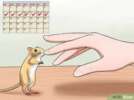 Image titled Pick up a Gerbil Step 5