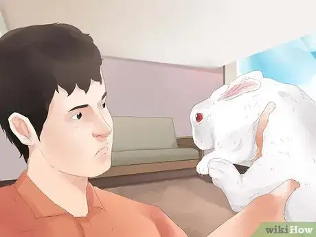 Image titled Understand Your Rabbit Step 4