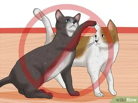 Image titled Care for a Cat with Feline Leukemia Step 15