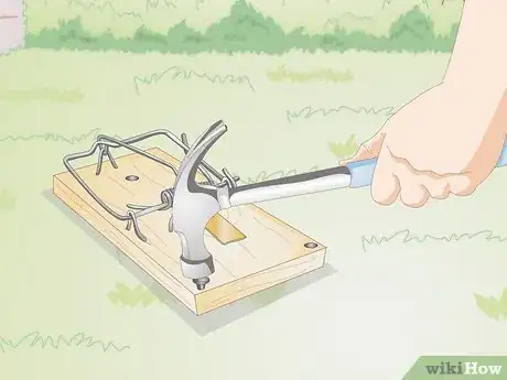 Image titled Make a Bird Trap Step 16