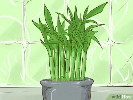 Image titled Choose Houseplants for the Bathroom Step 4