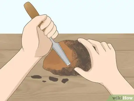 Image titled Prepare Chaga Step 2