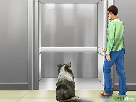 Image titled Get Rid Of Your Pup’s Elevator Phobia Step 2