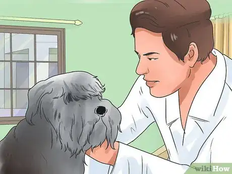 Image titled Check if Your Dog Is Healthy and Happy Step 12