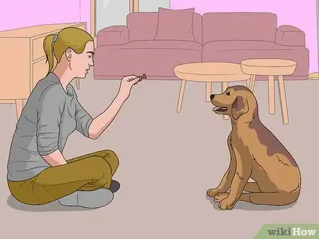 Image titled Dog Sit Step 9