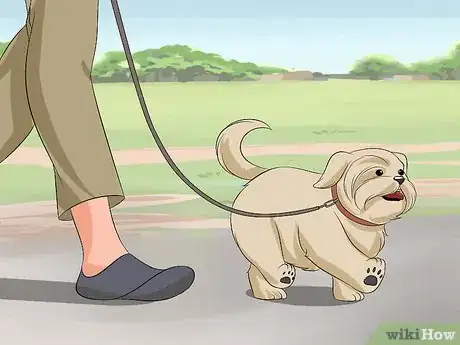 Image titled Train Your Shih Tzu Step 8