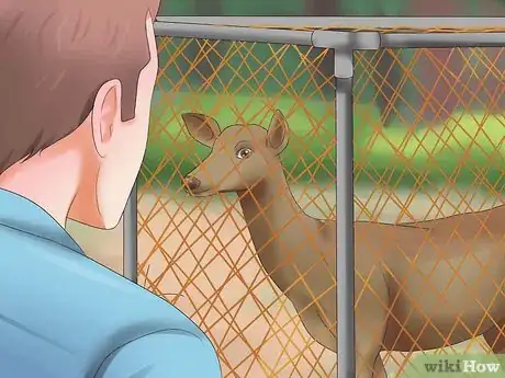 Image titled Catch a Deer Step 19