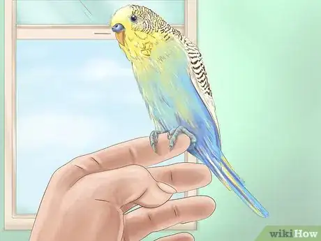 Image titled Choose a Good Budgie Step 9