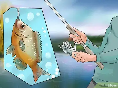 Image titled Catch a Carp Step 16