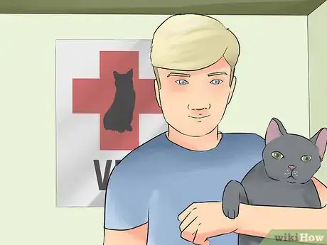 Image titled Tell if Your Cat Is Blind Step 10