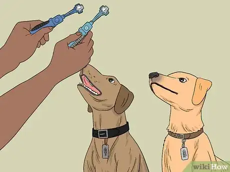 Image titled Clean Your Dog's Toothbrush Step 1