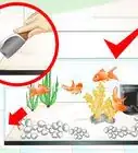 Keep Aquarium Water Clear