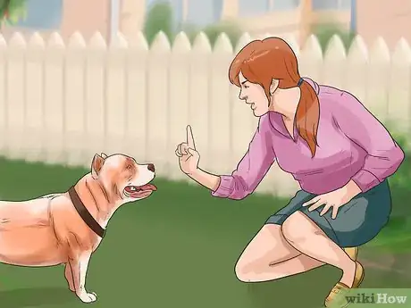 Image titled Train a Bully Breed Dog Step 4