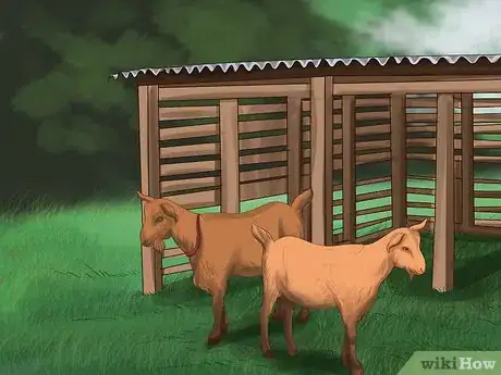 Image titled Care for Nubian Goats Step 2