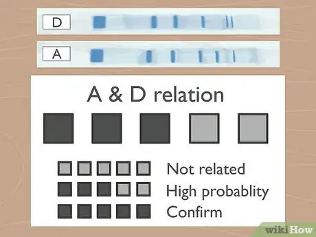 Image titled Read Gel Electrophoresis Bands Step 10