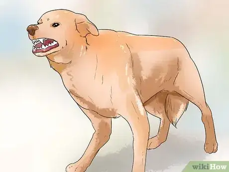 Image titled Stop Aggressive Behavior in Dogs Step 15