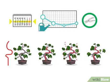 Image titled Start a Bonsai Tree Step 06