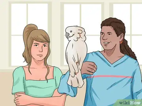 Image titled Teach Your Bird to Talk Step 7