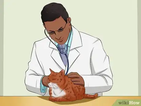 Image titled Ensure That Your Cat Finishes Its Food Step 11