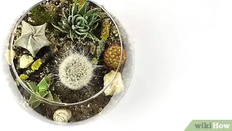 Image titled Make a Cheap Terrarium Step 14