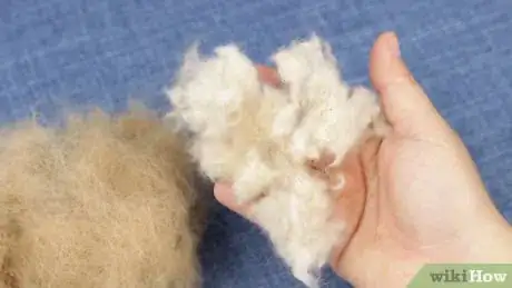 Image titled Make Dog Yarn Step 4