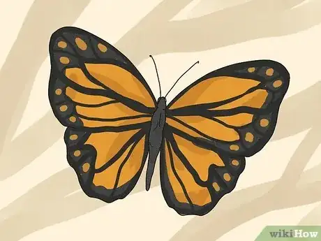 Image titled What Does It Mean when a Butterfly Lands on You Step 14