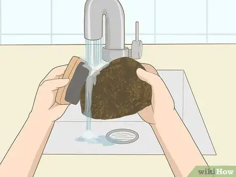 Image titled Prepare Chaga Step 1