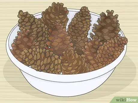 Image titled Preserve Pinecones Step 1