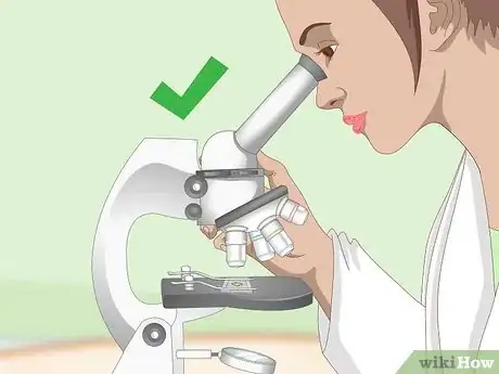 Image titled Use a Light Microscope Step 10