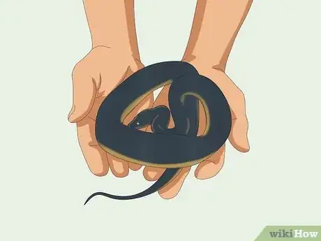 Image titled Hold a Snake Step 13