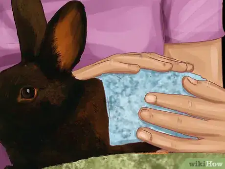 Image titled Diagnose and Treat Hair Blockages in Rabbits Step 12