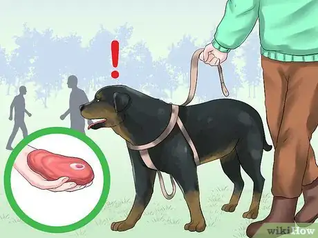 Image titled Train a Rottweiler to Be a Guard Dog Step 15