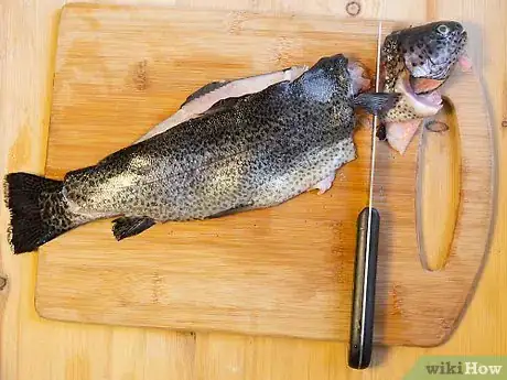 Image titled Fillet Trout Step 10