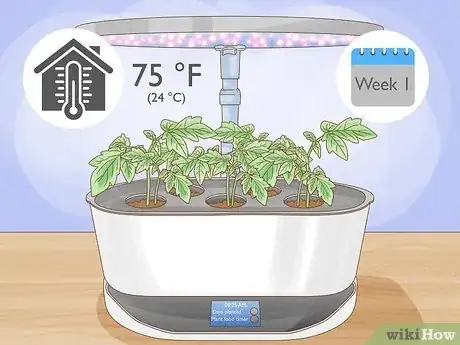 Image titled Aerogarden Tomatoes Step 8